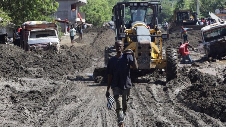 La Santa Sede: proteger y custodiar la creación es responsabilidad de todos