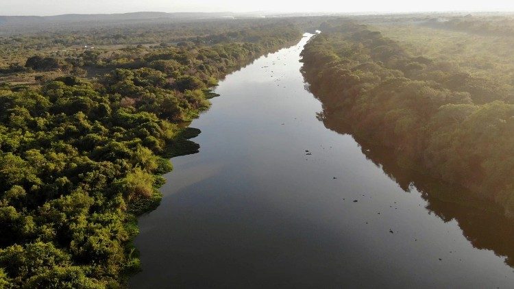 COP 30 en Brasil: la Amazonia cerca del «punto de no retorno»