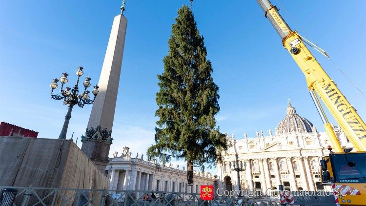 15 de diciembre: inauguración del pesebre y árbol en la Plaza de San Pedro